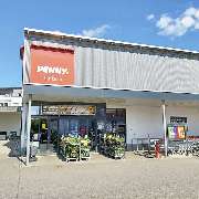 PENNY - GALLERY