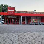 PENNY - GALLERY