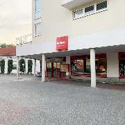 PENNY - GALLERY
