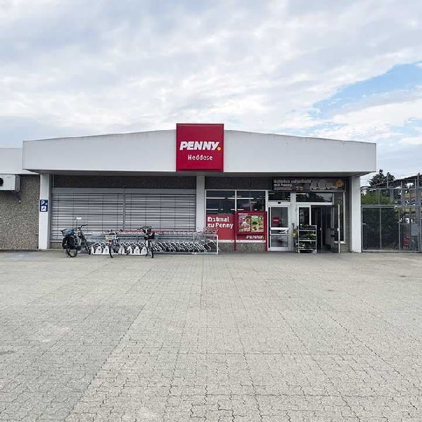 PENNY - GALLERY