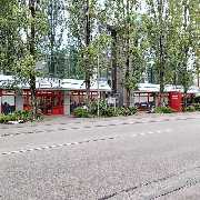 PENNY - GALLERY
