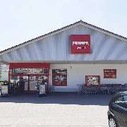 PENNY - GALLERY