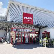 PENNY - GALLERY
