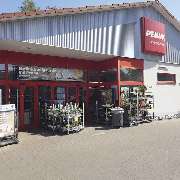 PENNY - GALLERY