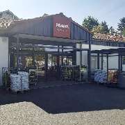 PENNY - GALLERY