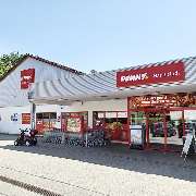 PENNY - GALLERY