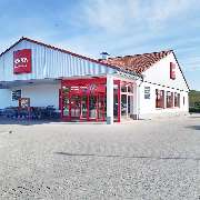 PENNY - GALLERY