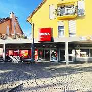 PENNY - GALLERY