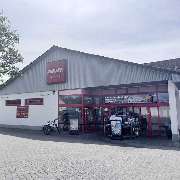 PENNY - GALLERY