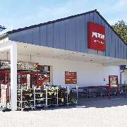 PENNY - GALLERY