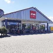 PENNY - GALLERY