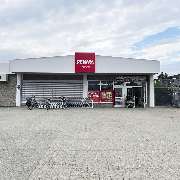 PENNY - GALLERY