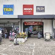 PENNY - GALLERY