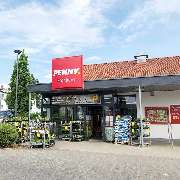 PENNY - GALLERY