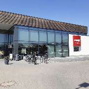 PENNY - GALLERY