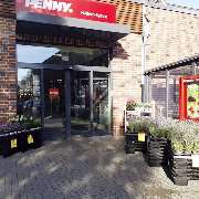 PENNY - GALLERY