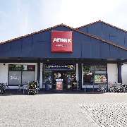 PENNY - GALLERY