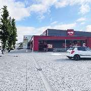 PENNY - GALLERY
