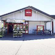 PENNY - GALLERY