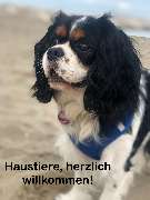 Pension Feldschlössl - Nicoleta Tatoiu - Haustier
