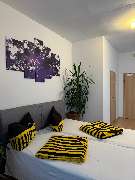 Pension Feldschlössl - Nicoleta Tatoiu - Zimmer - Pension Feldschlössl - Nicoleta Tatoiu