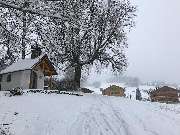 Pension mit Gasthaus Weghof - 4