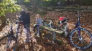 Pension Stechlinsee - 10