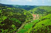 Pension Steinbergsblick - GALLERY