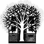 Logo_Icon