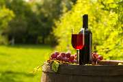Pension und Weinstube Wendland - Weingut