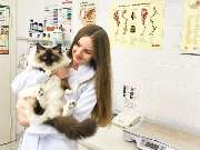 Peresada Igor Tierarzt Altenkunstadt - GALLERY