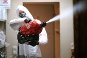 PESTSAFE Schädlingsbekämpfung Düsseldorf - MOTTENBEKÄMPFUNG
