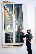 PESTSAFE Schädlingsbekämpfung Düsseldorf - WESPENBEKÄMPFUNG