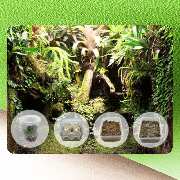 Peter Nowark Terraristik GmbH - GALLERY