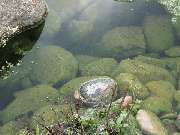 Peter Perovic Gartenbau - Peter Perovic Gartenbau