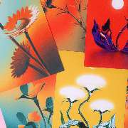 Peter Print GmbH - GALLERY