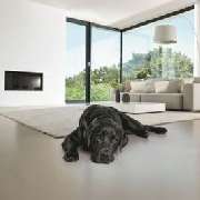 Petersohn Fenstertechnik GmbH - Petersohn Fenstertechnik GmbH