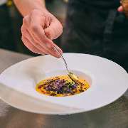 Petit Frère - GALLERY