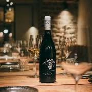 Petit Frère - GALLERY