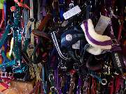 Petra's Reiterstübchen - Petra's Reiterstübchen