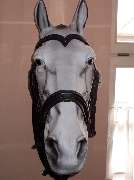 Petra's Reiterstübchen - Pferdekopf