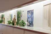 Pfandhaus&Juwelier Anton Brocker - GALLERY