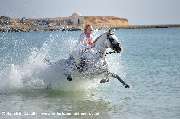 PFERD & REITER Internationale Reiterreisen | Reiseveranstalter - GALLERY
