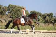 PFERD & REITER Internationale Reiterreisen | Reiseveranstalter - GALLERY