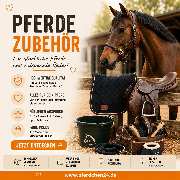Pferdchen24 - GALLERY