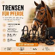 Pferdchen24 - GALLERY