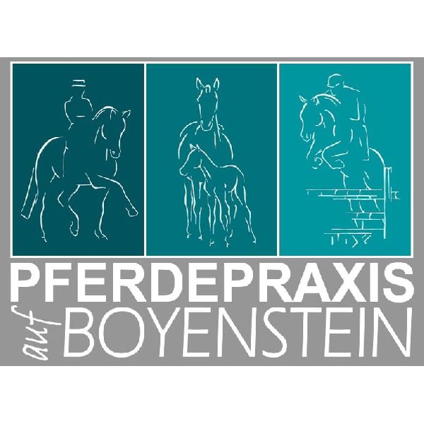 Pferdeklinik Boyenstein - LOGO