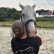 Osteopathie Behandlung Pferd  Hannover