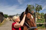 Pferdetherapeut Pferd-entspann-Dich Claudia Gansohr-Kratz, M.A. - GALLERY