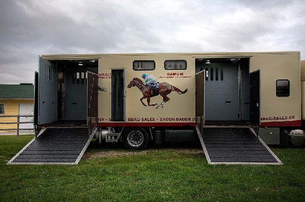 Pferdetransporte Andreas Fallert - 4